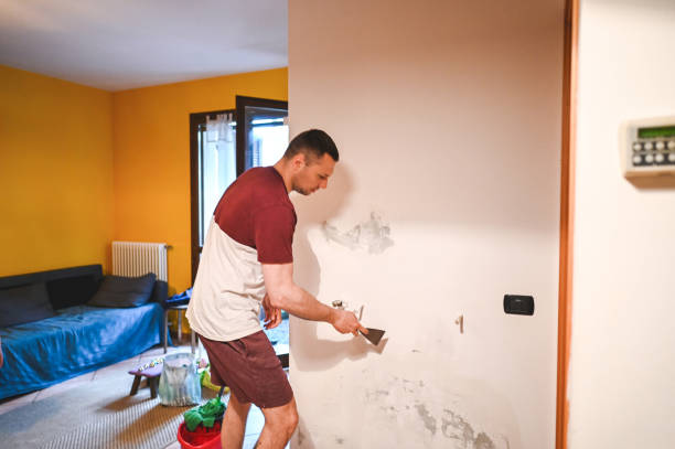 Best Mold Remediation for Specific Building Types in Bertville, AL