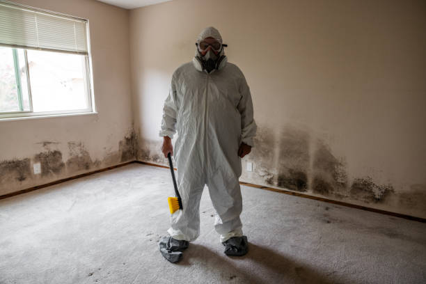 Best Commercial Mold Remediation in Bertville, AL